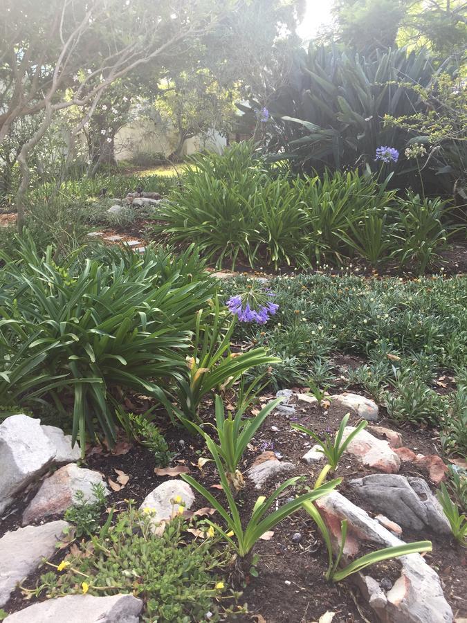 Ferienhaus Acorn Hermanus