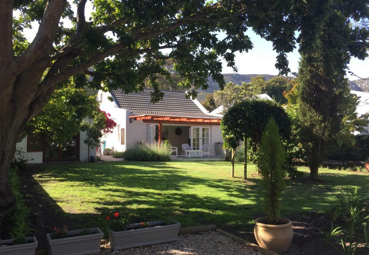 Acorn Hermanus